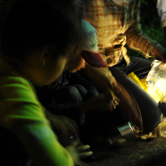 shizukart Several Picture Books-shizukart_カブトムシ04