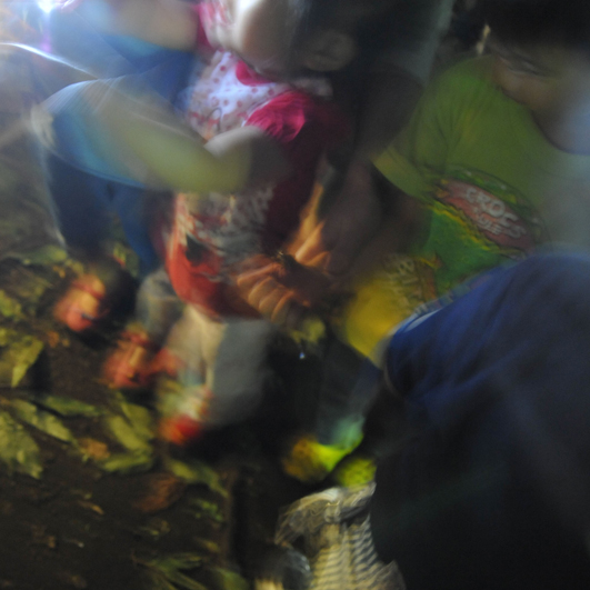 shizukart Several Picture Books-shizukart_カブトムシ03