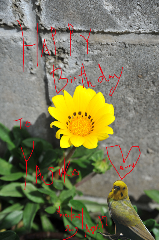 shizukart Several Picture Books-shizukart_0817