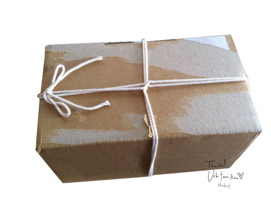 shizukart Several Picture Books-うしたにくん01