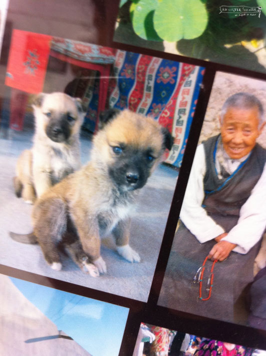 shizukart Several Picture Books