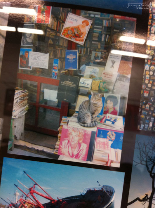 shizukart Several Picture Books