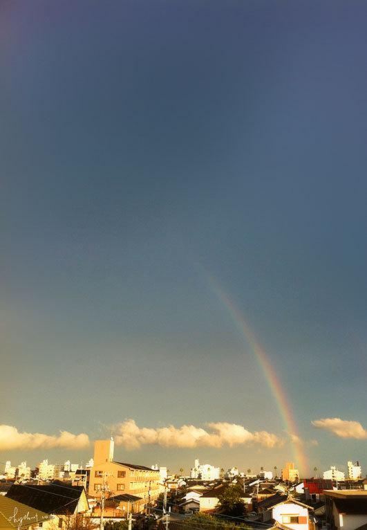 今日は、ここまでの虹。
