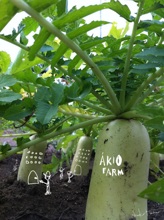 だいこんすとりーと