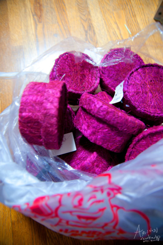 shizukart Several Picture Books-arinosu02