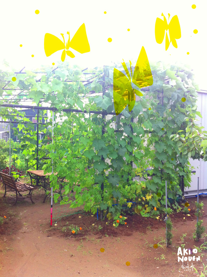 梅雨があけたら