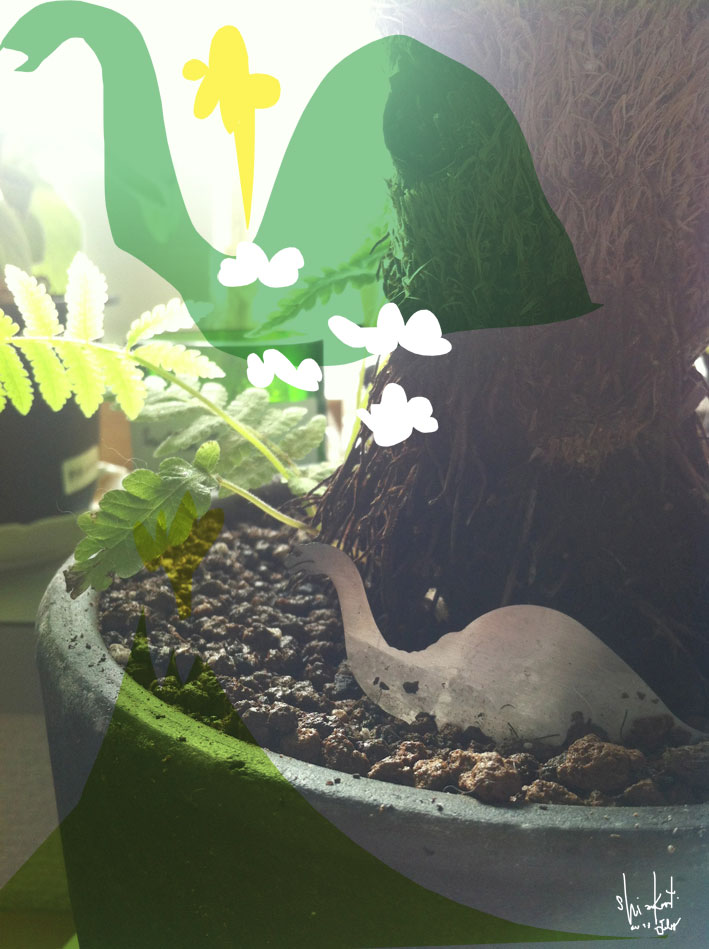 鑑賞スベキコト