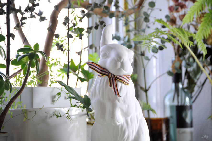 一眼レフの調子