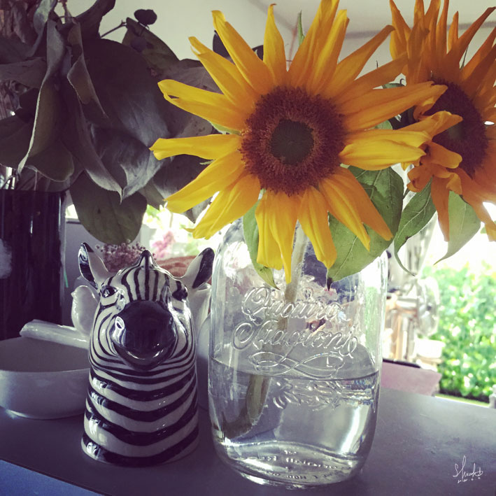 真夏のデザインシーズン