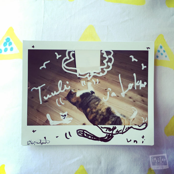 「tuuli ja lokki」では、キブンにより、猫もむかえてくれます。