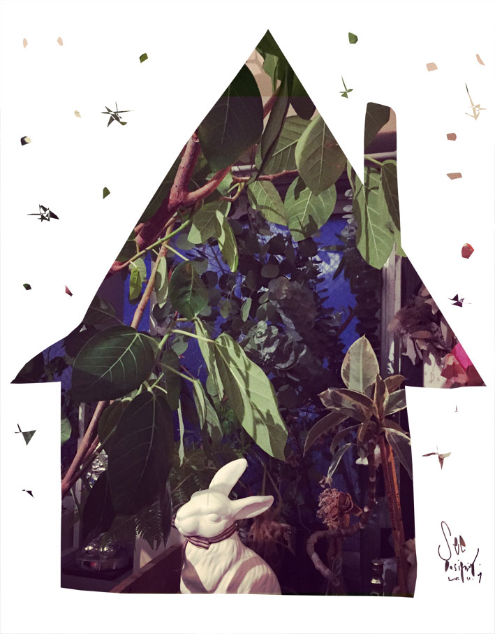 今は、コートが着たいから寒くてもいい。