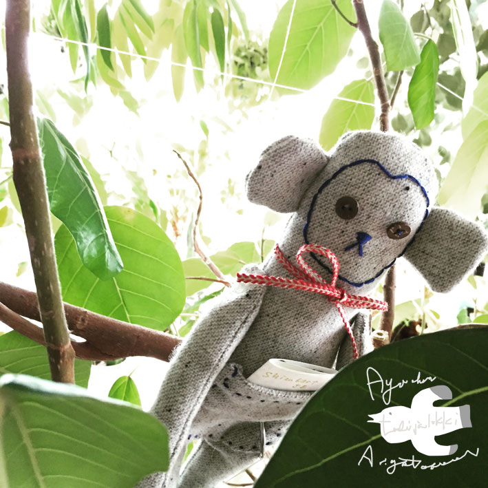 ポストの中が楽しみ