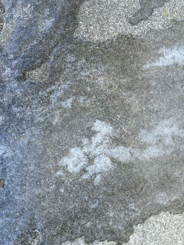 #セメント、#氷、