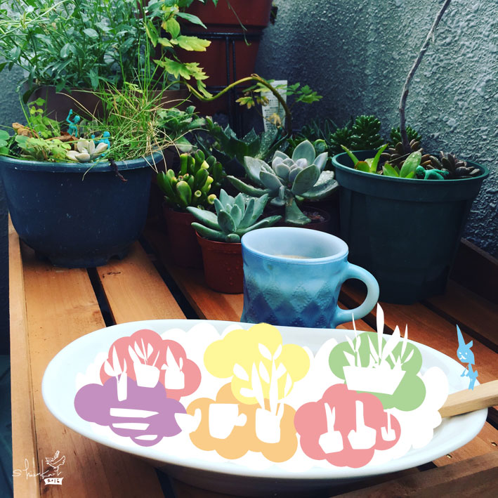 多肉にかかるあまつぶは、みてて楽しいのですが、