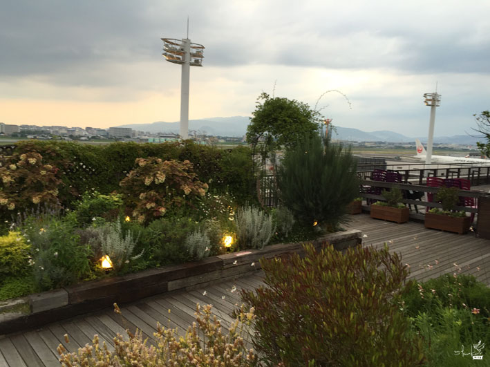 大阪　伊丹空港