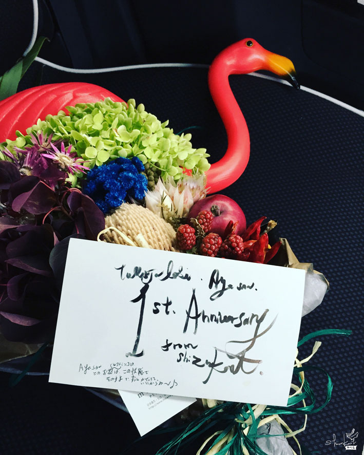 カモメのお店だけどね♪