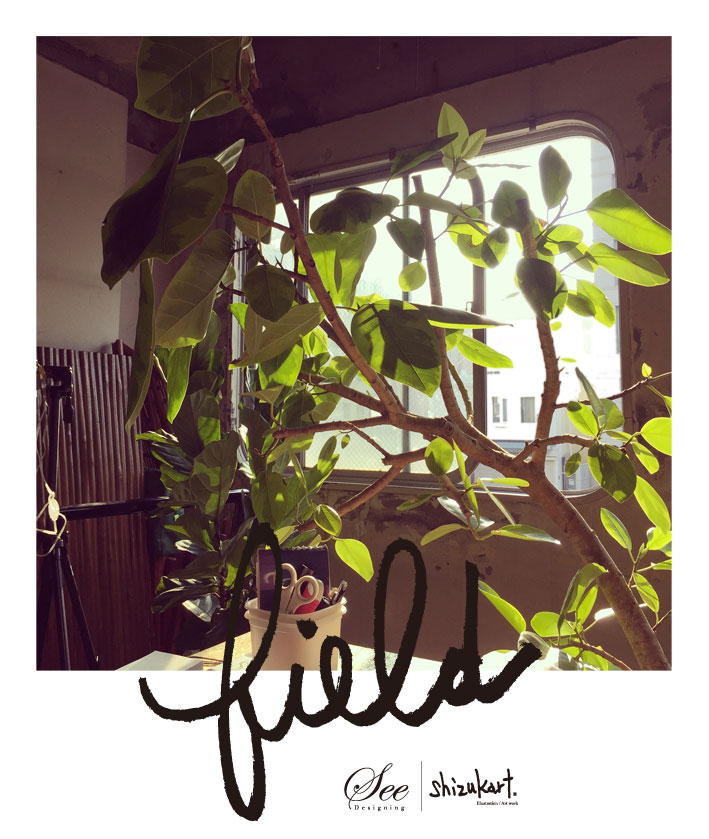 “field” story 23