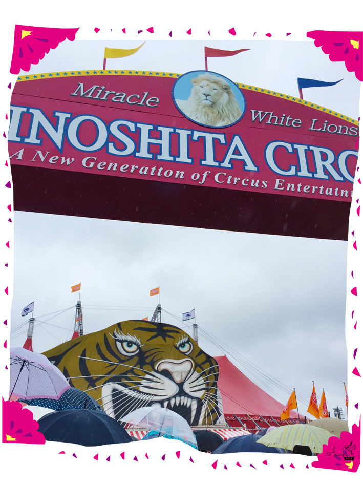 木下大サーカス。