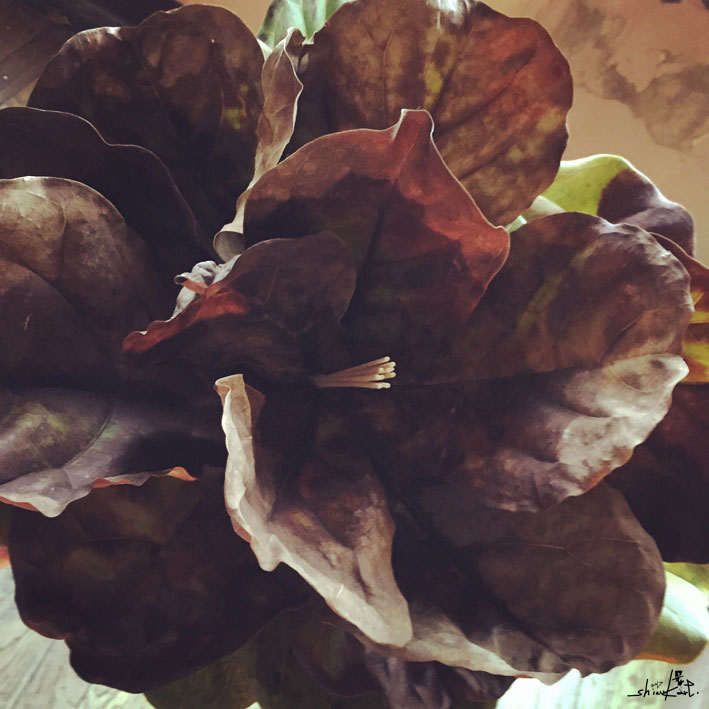 2. こうしてみた