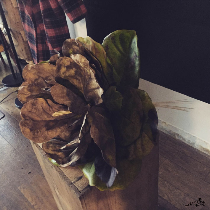 3. 大きいので、どうやって置いてよいか…