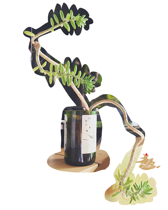 龍みたいに育てる