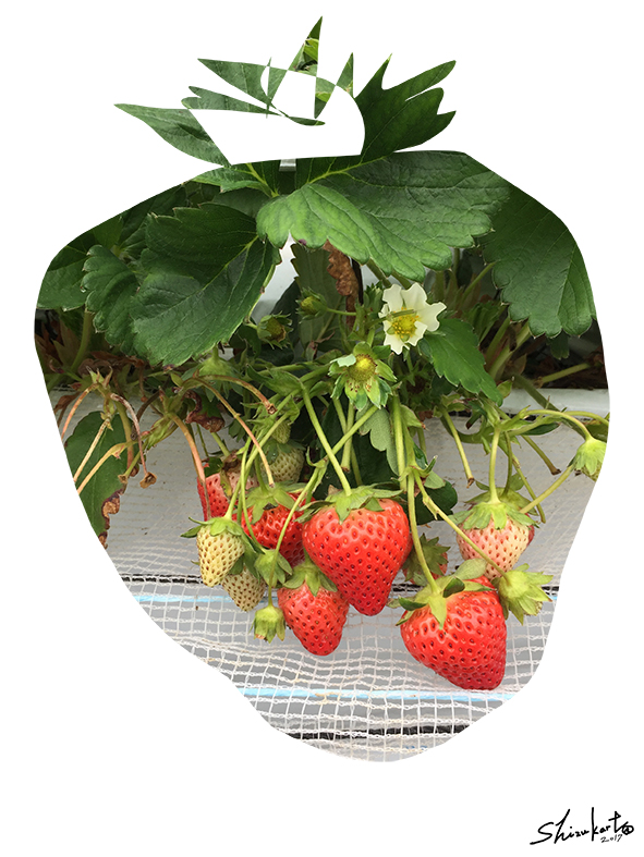 シーズンオフ。。。