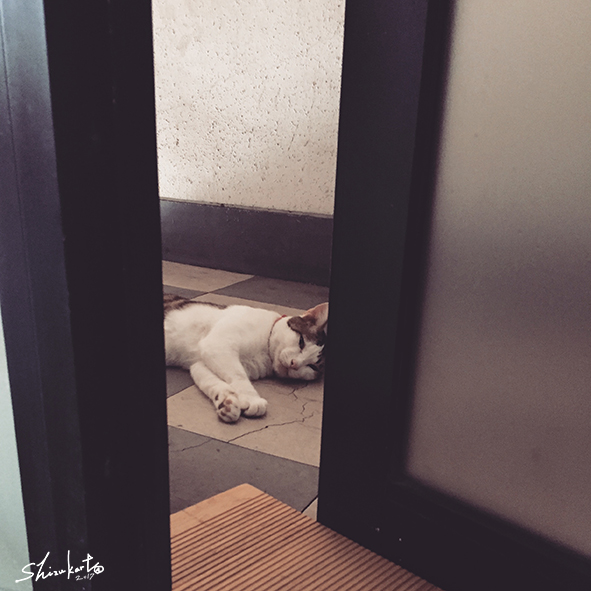 ドアを開けると。