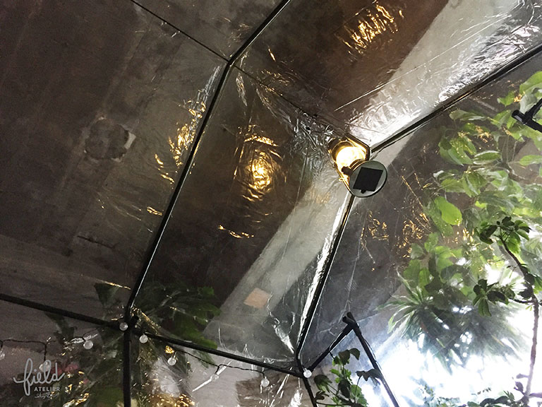 2017 January  =scene=