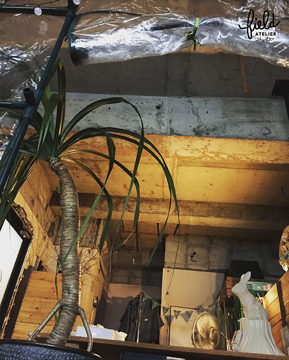 2017 January  =scene=