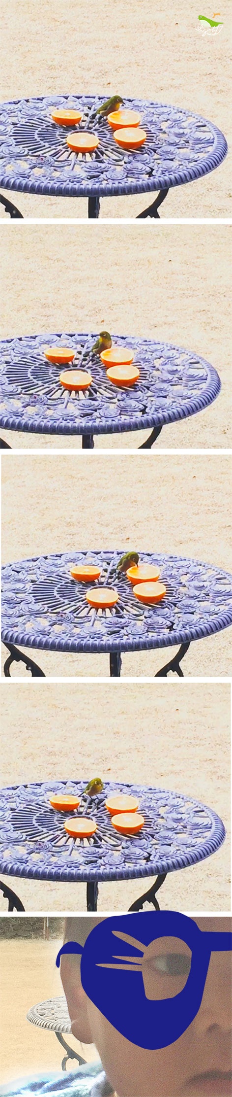 食べてくれてる。