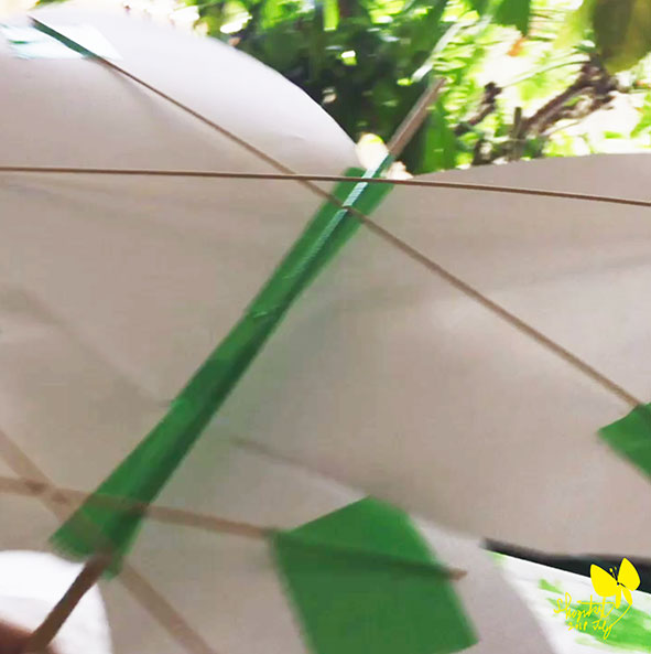 m–展（装飾テスト） 05