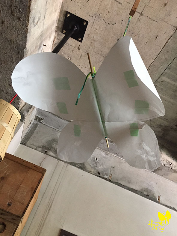 m–展（装飾テスト） 06