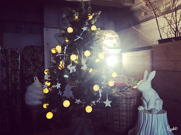 もう飾ってみた。