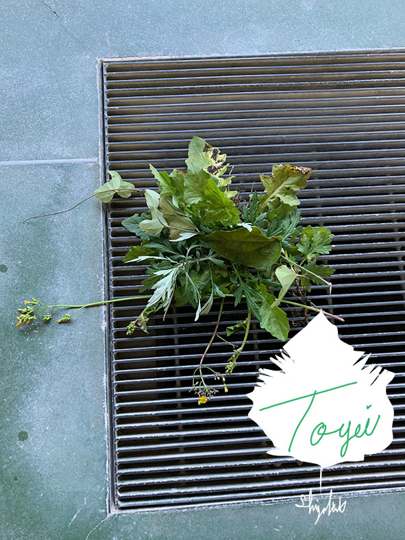 TOUGEI　2018.12….no1